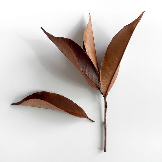 Autumn Inspiration: Fall Moodboard - PILLOWPIA