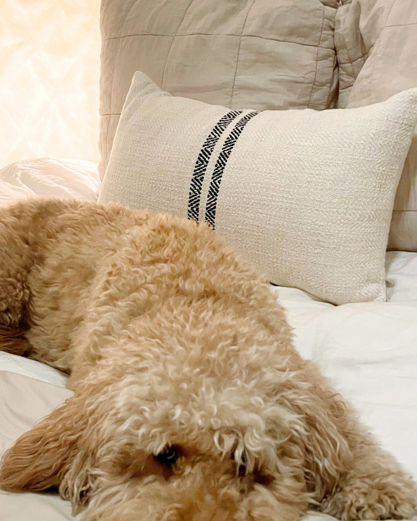 hugh lumbar pillow cover