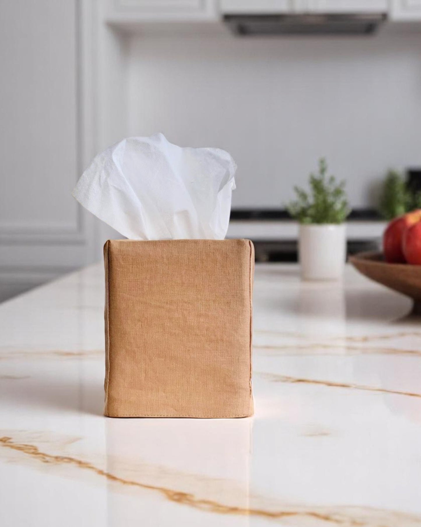 james tissue box cover