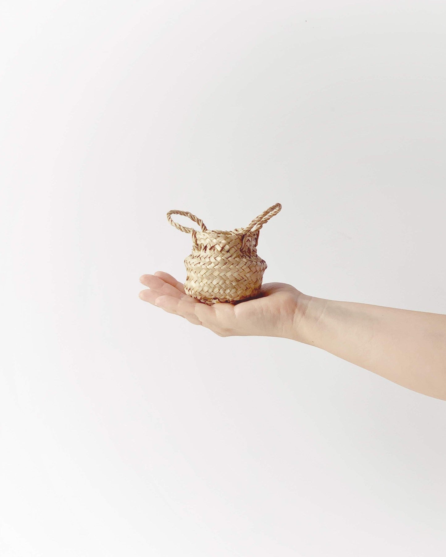 tabletop belly basket xs