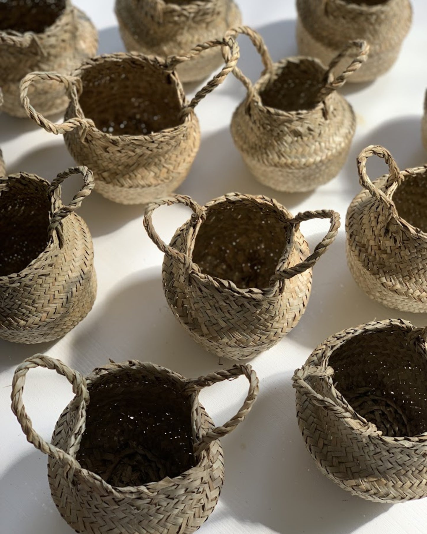 tabletop belly basket xs