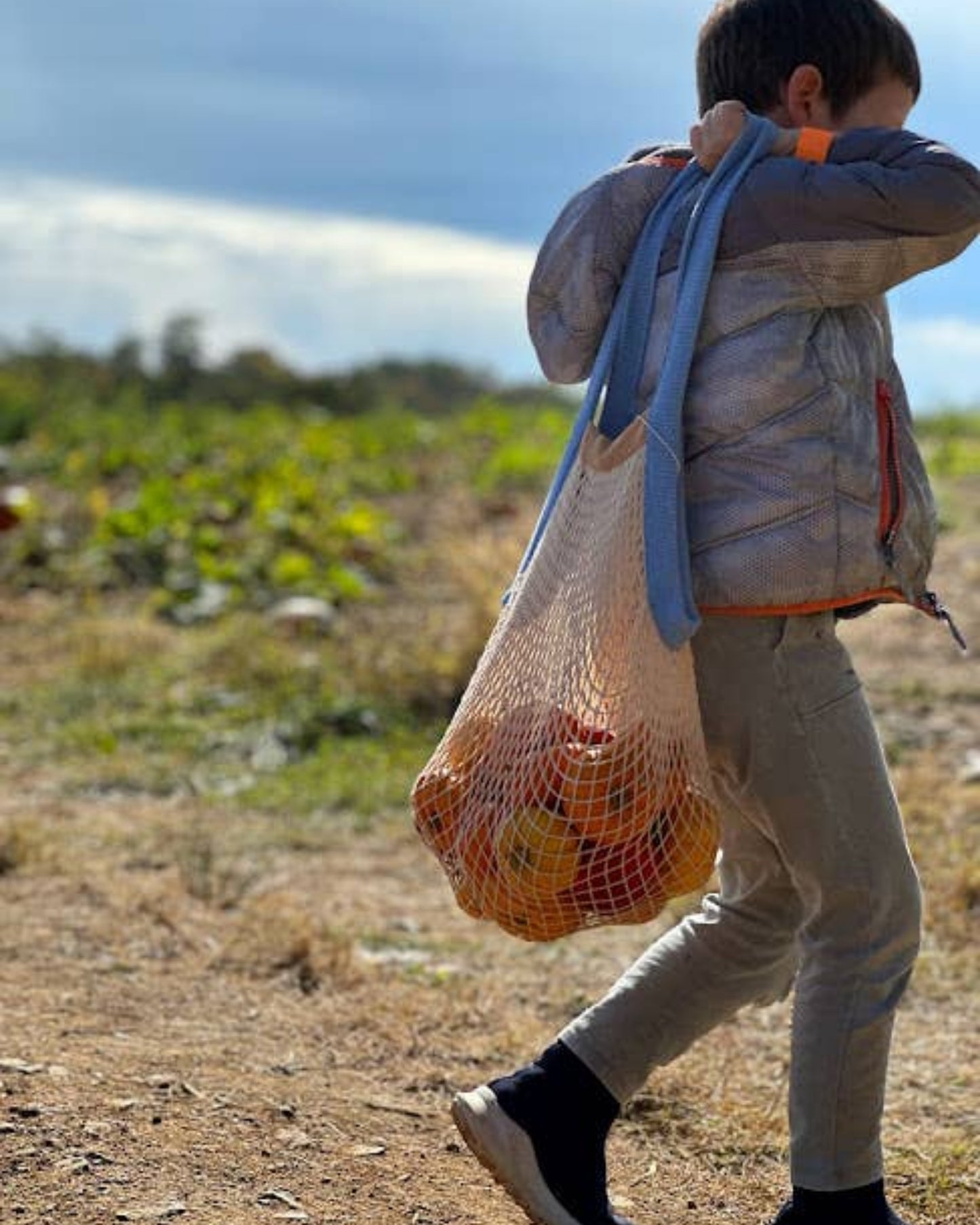 the french market bag two tone