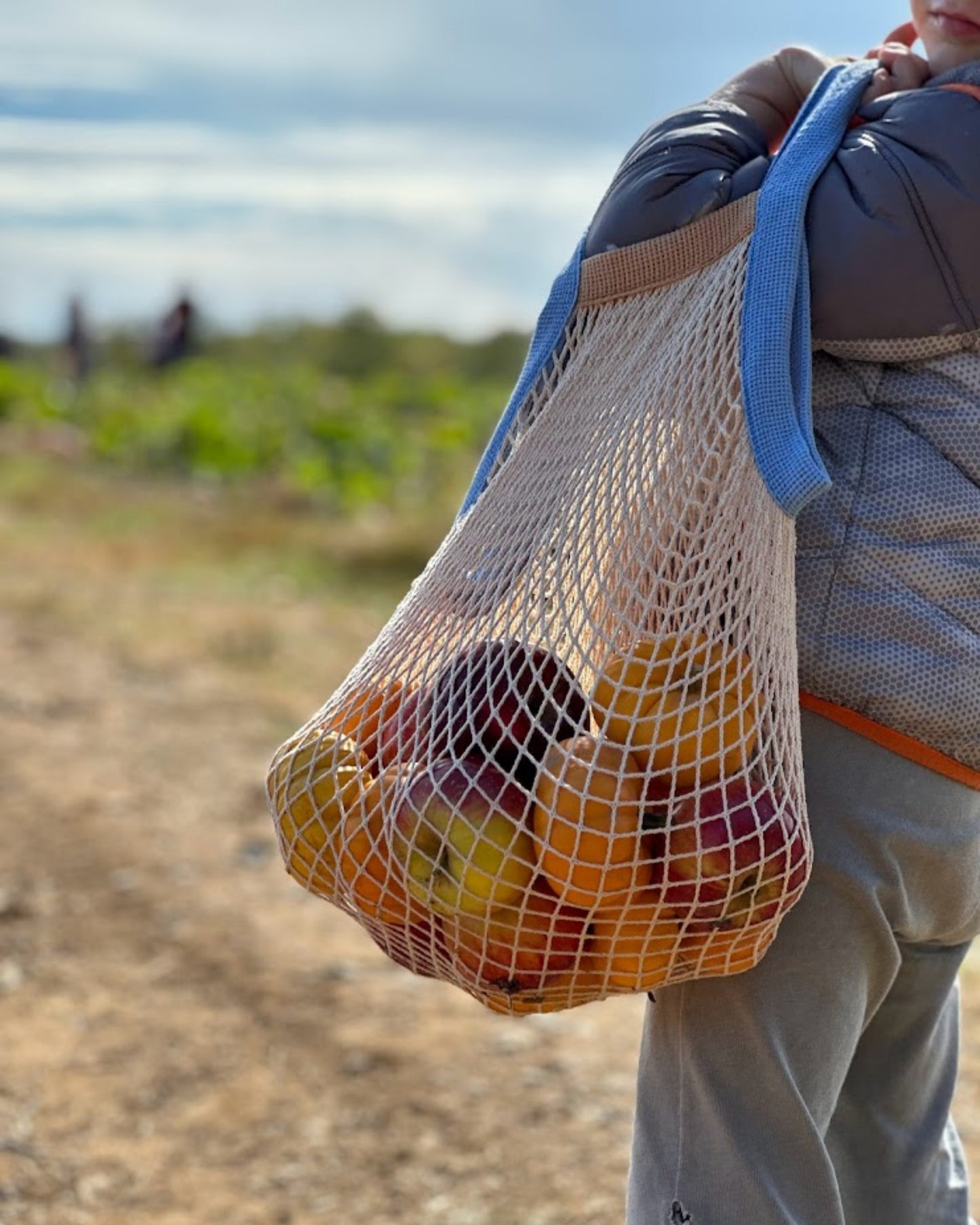 the french market bag two tone