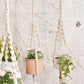 trina macrame plant hanger