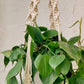 trina macrame plant hanger